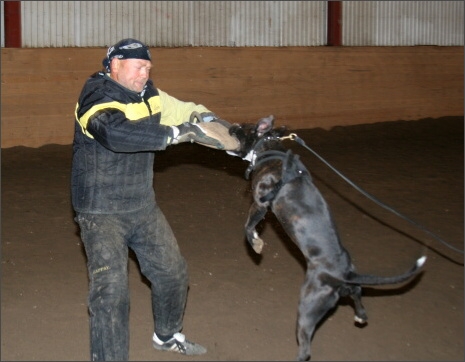 Training in Estonia 11/2007